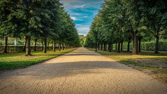 Don’t Miss Out: Top Investing Tips for a Secure Financial Future