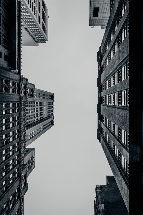 From Brick-and-Mortar to Click-and-Order: Adapting Your Business to the Digital Age From Brick-and-Mortar to Click-and-Order: Adapting Your Business to the Digital Age